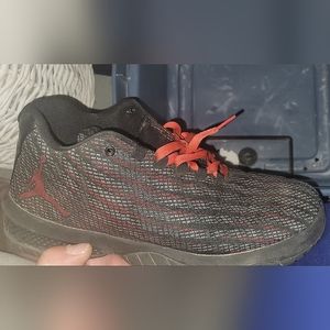 Jordan b fly bred